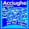 Acciughe sotto sale del Mar Ligure Igp - Modifica disciplinare