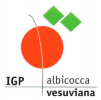 Albicocca Vesuviana
