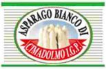 Asparago bianco di Cimadolmo Igp