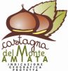 Castagna del Monte Amiata Igp