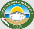 Cipolla bianca di Margherita