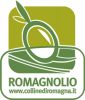 Olio di oliva Dop Colline di Romagna