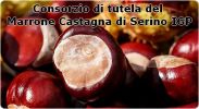 Consorzio di tutela del Marrone Castagna di Serino IGP