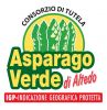Consorzio di tutela dell'Asparago verde di Altedo IGP