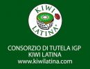 Consorzio di Tutela Kiwi di Latina IGP