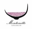 Consorzio Montenetto