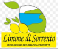 Limone di Sorrento Igp - Disciplinare di produzione