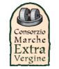olio extravergine di oliva Marche IGP