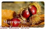 Marrone di San Zeno