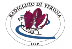 Radicchio di Verona Igp