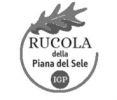 Rucola della Piana del Sele Igp