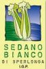 Sedano Bianco di Sperlonga Igp