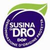 Susina di Dro